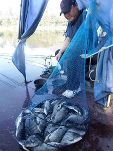 포천초원낚시터 조황입니다~~~