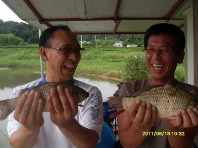 34cm토종붕어 한쌍을들고싱글벙글..