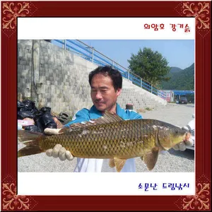의암호 강기슭 소문난 드림낚시 입니다.