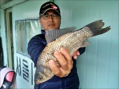 16.06.25 송전지 서울집 조황