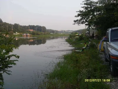 당진 가교리지 5만여평 물이가득 토종붕어대량방류 좌대에어콘설치..