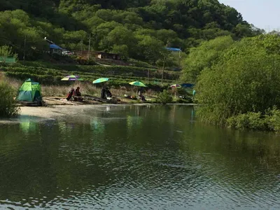 요룡지 행복낚시터 충남공주시 조황정보입니다~