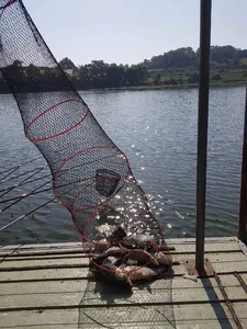 오목낚시터 유월 두번째주 조황입니다