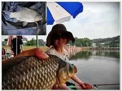 [각평지] 6월 18일 조황(집어의힘)