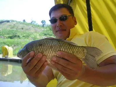 4짜붕어 도전하기