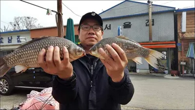 17.04.11 송전지 서울집 조황