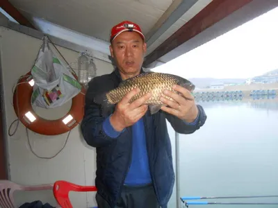 4월 16일 토요일, 봄 개장 기념 무료 점심 식사 제공 안내