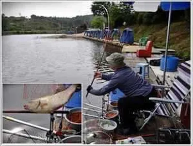 [각평지] 6월 14일(목) 밤보단 낮조황이 강세