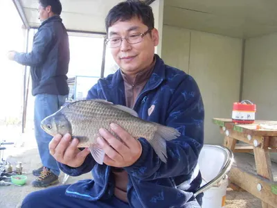 [당진 가교리지 조황정보]