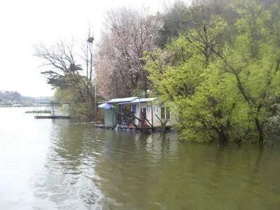 [당진가교리지 주말조황화보]