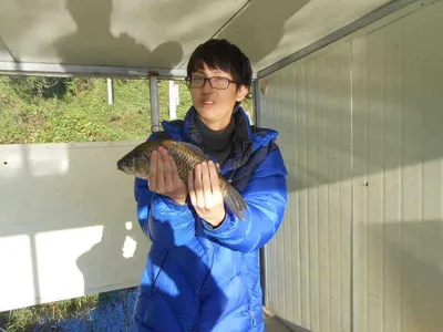 [당진 가교리지] 대호만 토종 어자원 대량형성...