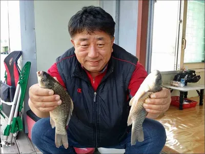 16.05.16 송전지 서울집 조황