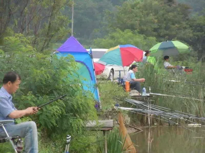 입석낚시터 [토종댐붕어] 7월31일조황