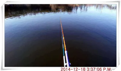 충남 아산 월선낚시터 12월 18일날 스케치