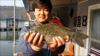 15.11.02 송전지 서울집 조황