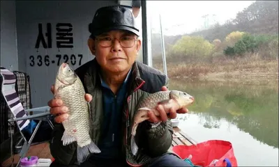 15.11.21 송전지 서울집 조황