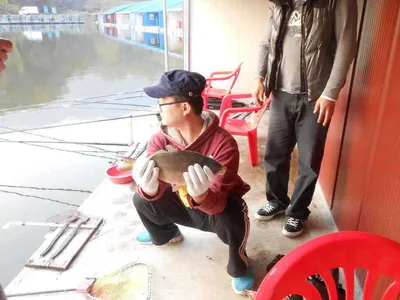 *****실시간 조황올립니다&수상좌대 무료이용*****