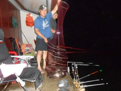 *****실시간 조황사진*****