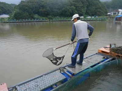 *****실시간 조황사진*****