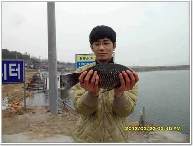 [황청지] 3월 23일 조황체크