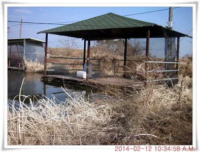 충남 아산 월선낚시터 정자좌대 운영합니다.