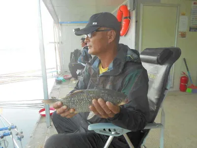 [당진 가교리지 주말 조황정보..]