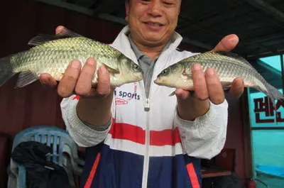 자갈섬낚시터조황입니다