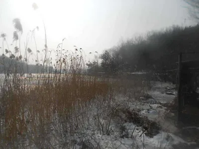 [당진 가교리지 전경..]