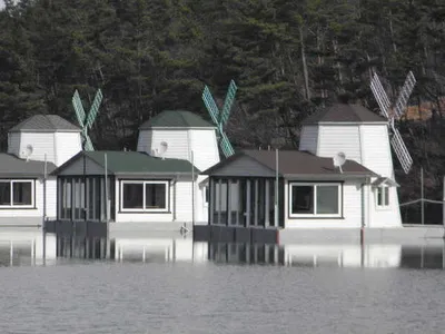 풍차낚시터(덕송지) 조황스케치