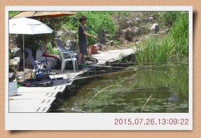 충남 아산 월선낚시터 8월 1일자 정기방류 및 스케치