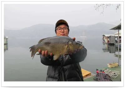 춘천  의암호 자갈섬 낚시터