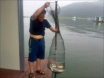 16.07.31 송전지 서울집 조황