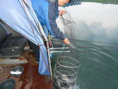 포천초원낚시터조황입니다~