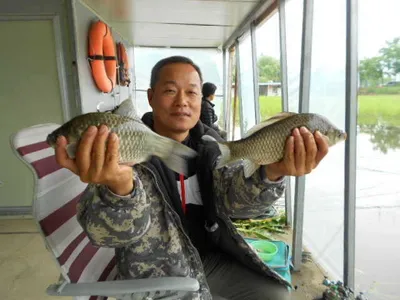 당진"가교리지" 현제오름수위
