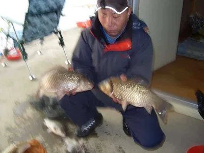 당진 가교리지 토종 "큰"붕어 봄낚시 시작..