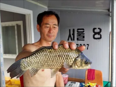 16.08.10 송전지 서울집 조황