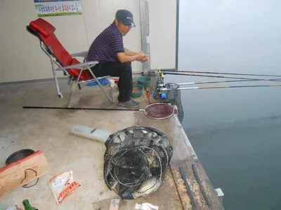 *****실시간 조황사진*****