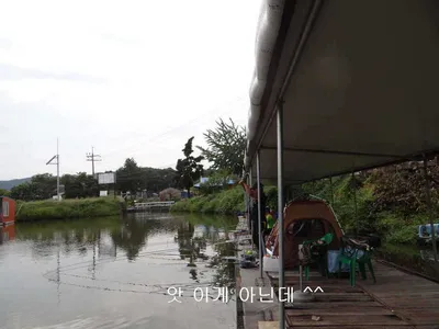 9월 15일 각평지 조황정보