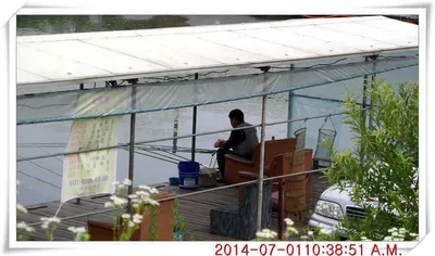 충남 아산 월선낚시터 7월 1일자 조황정보