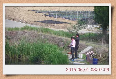 충남 아산 월선낚시터 6월 1일자 스케치