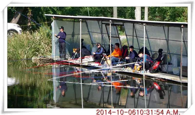 충남 아산 월선낚시터 10월 6일자 조황정보