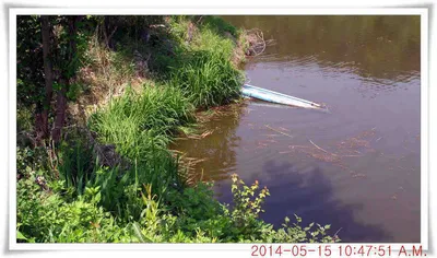 충남 아산 월선낚시터 5월 15일자 조황정보