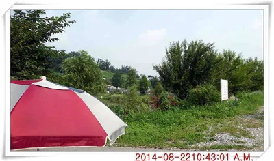 충남 아산 월선낚시터 8월 22일자 조황정보