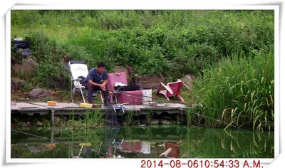 충남 아산 월선낚시터 8월 6일자 조황정보