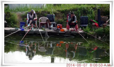 충남 아산 월선낚시터 6월 7일자 조황정보