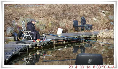 충남 아산 월선낚시터 3월 14일자 조황정보