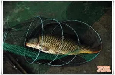 물맑고~ 당찬힘~ 기산낚시터