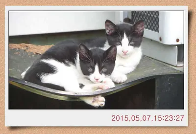 충남 아산 월선낚시터 5월 9일자 스케치