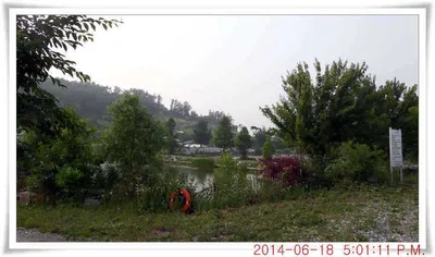 충남 아산 월선낚시터 6월 18일자 조황정보