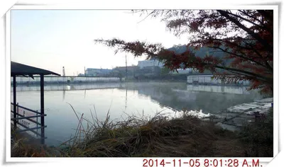 충남 아산 월선낚시터 11월 5일자 조황정보